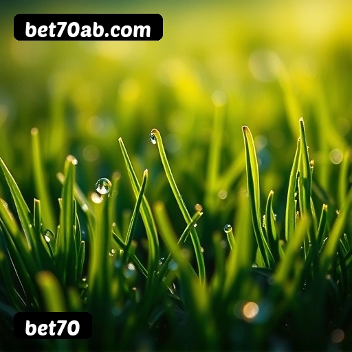 Jogos de Mesa Premium bet70 - Blackjack, Roleta, Baccarat